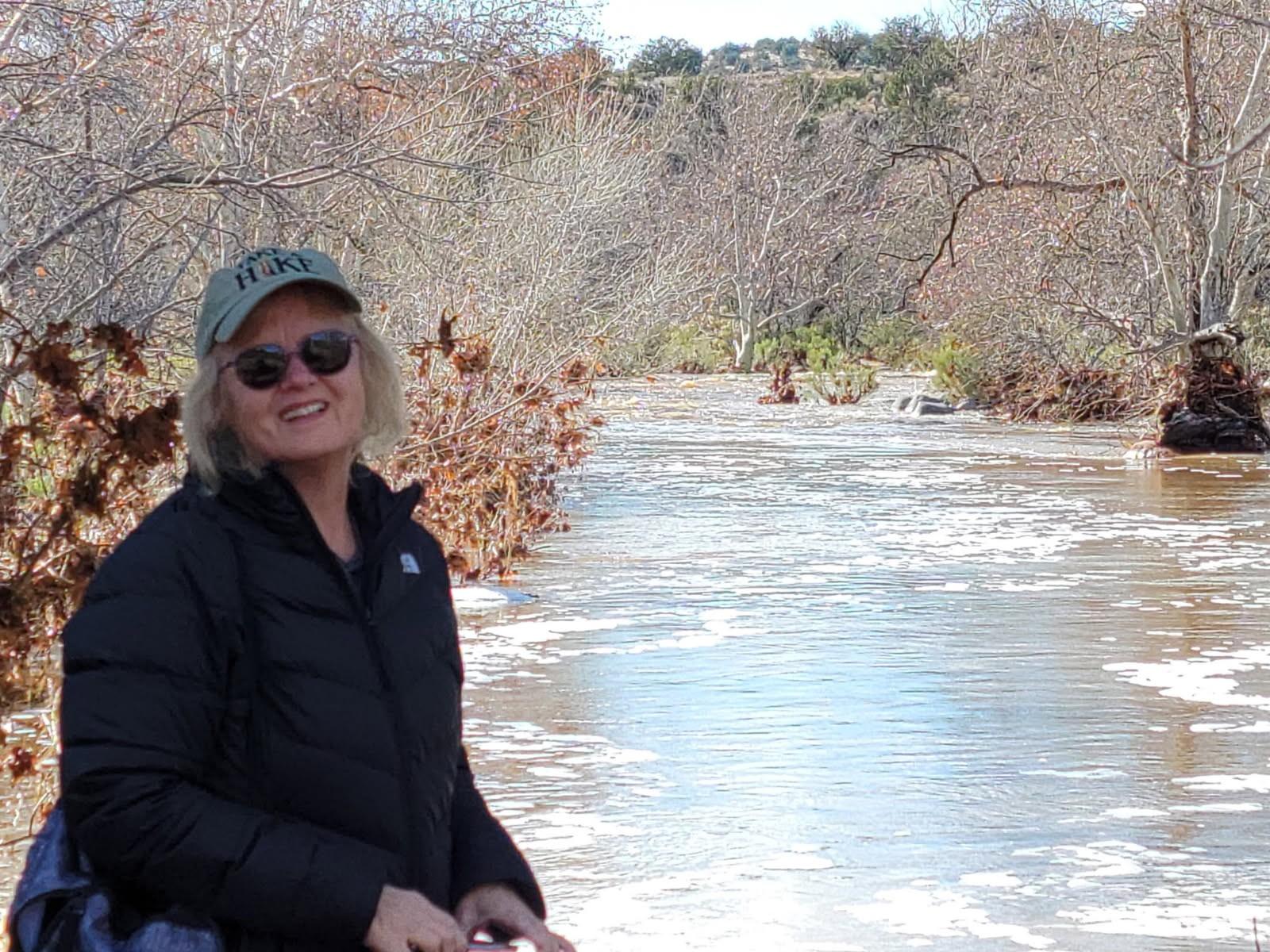 Victoria Ann Meyer, 69, Springstead