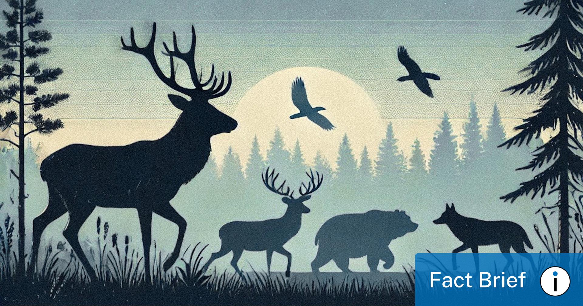 Do about half the states, including Wisconsin, have a constitutional right to hunt and fish?