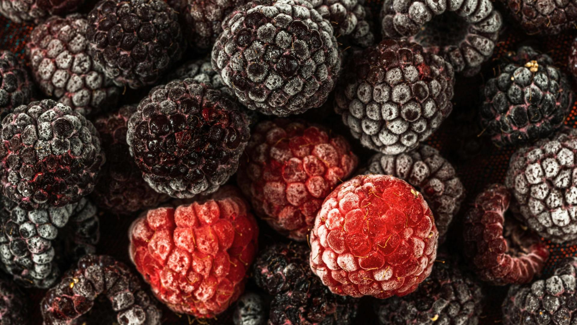 Frost Advisory Hits Wisconsin Northwoods and Michigan U.P.